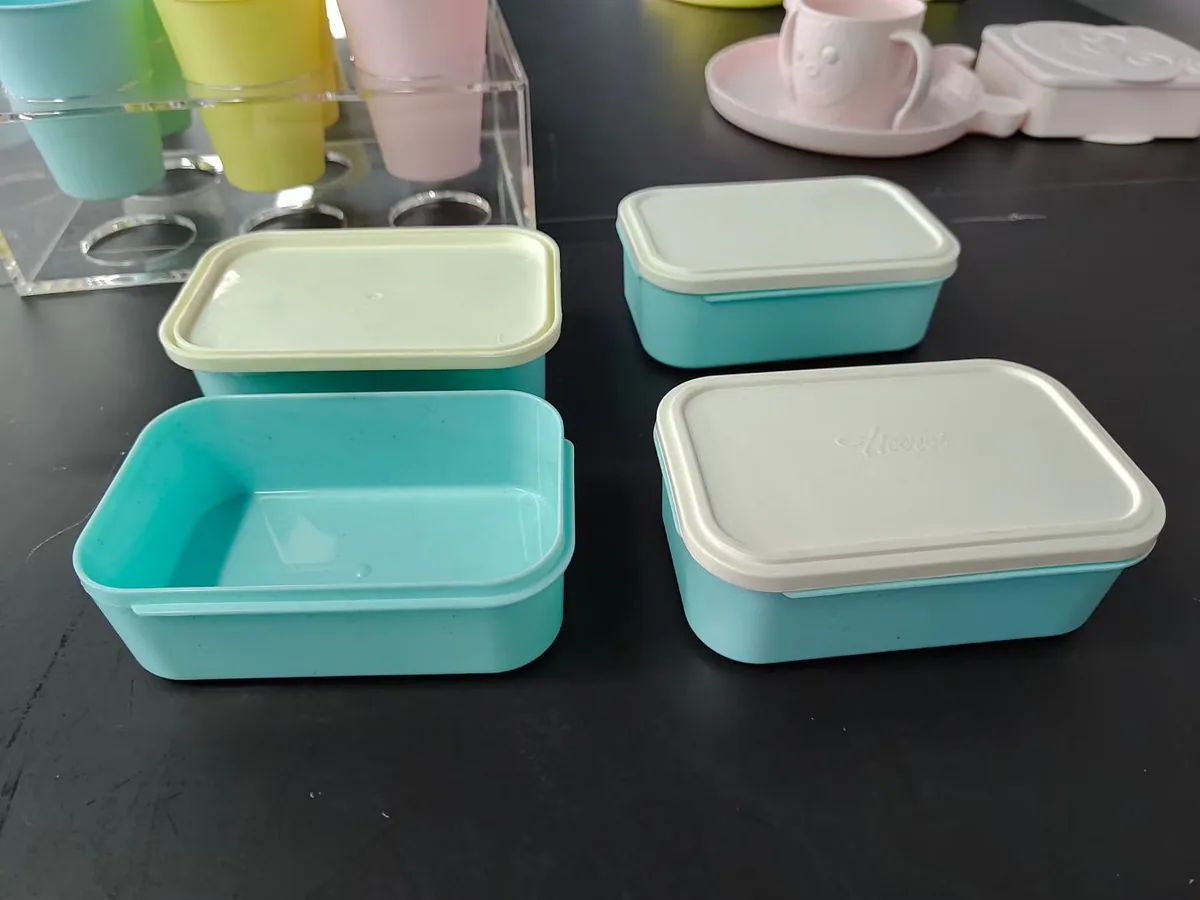 Color-Customizable Food Containers real product sample