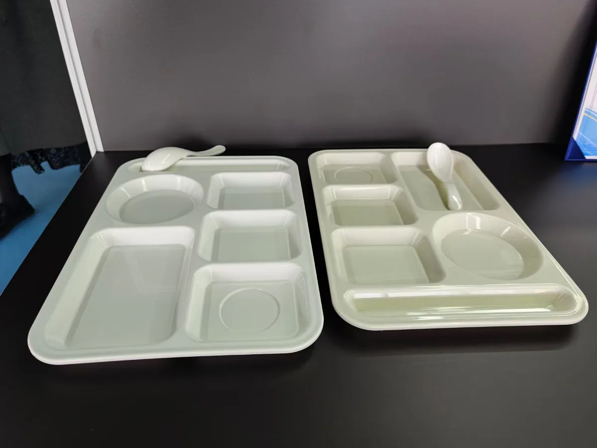 Multi-Compartment Serving Trays real product sample