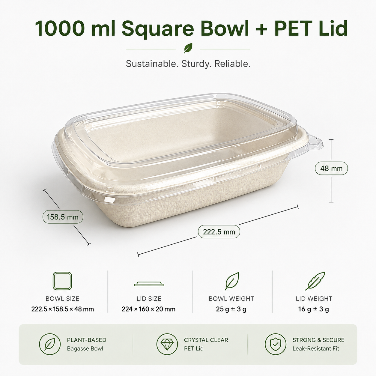 Hinged Food Container 02 from ECONOVAPACK