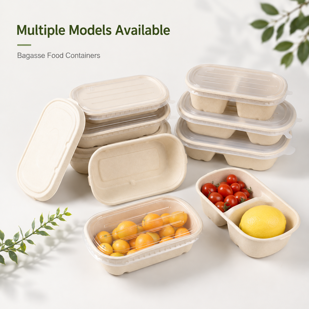 Hinged Food Container 08 food packaging product photo